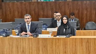 الإمارات العربية المتحدة في اجتماع وزراء الطاقة لدول البريكس
