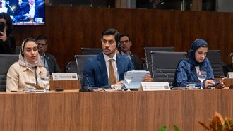 UAE Attends BRICS Trade Ministers Meeting