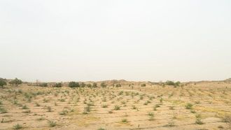 زراعة أكثر من 20 مليون شجرة في الرياض