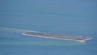 EAD Completes Aerial Survey Of Marine Habitat