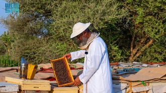 Beekeeping Permits Now Available At King Abdulaziz Reserve