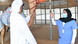 مركز أبحاث صحة الإبل يحظى باعتراف عالمي