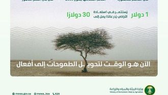 السعودية تحتفل باليوم العالمي للتصحر