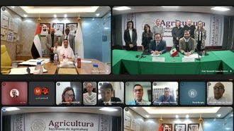 خليفة والمكسيك ينضمان إلى مهرجان التمور