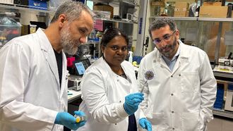 Rapid Diagnostic Tool Developed By NYU Abu Dhabi