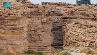 Al-Urumah Season Boosts Saudi Ecotourism