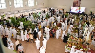 Khorfakkan Mango Festival Ends On High Note