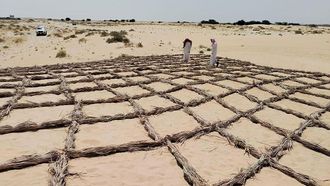 FAO's Commitment To Land Restoration In Saudi Arabia