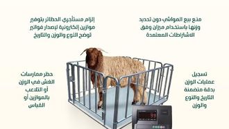 إعلان عن لوائح جديدة لمبيعات الماشية الحية