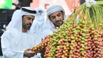 Liwa Date Festival Celebrates UAE Heritage