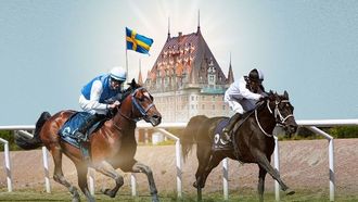السويد تستضيف كأس الرئيس للخيول العربية