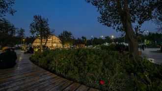 Raghadan Forest: A Summer Gem In Al-Baha