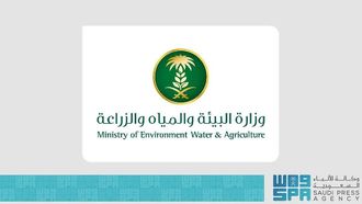 Saudi Arabia's Efforts Against Desertification