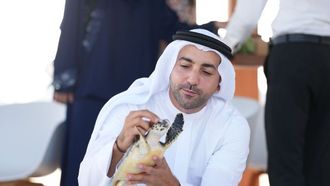 أم القيوين تطلق سلحفاتين بحريتين