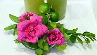 بدء حصاد ليمون أبو زهير بالمدينة المنورة