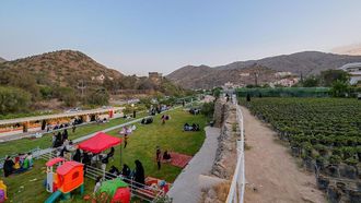Al-Baha's Rural Farms Boost Agritourism