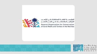 SHAMS Unveils Coral Initiative For Community Engagement