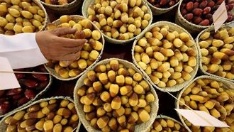 الاحتفال بالتمور والضيافة في دولة الإمارات العربية المتحدة