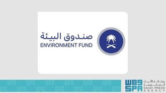 شركاء صندوق البيئة للابتكار البيئي