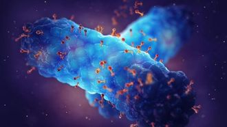 توطين تقنية حماية الأسماك من أجل سلامة الغذاء