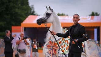 Highlights From Global Champions Arabians Tour 2025