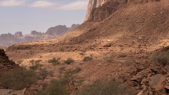 Nubian Ibex Newborns Mark Rewilding Success