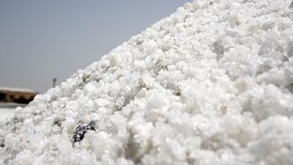Saudi Arabia's Salt Industry Hits SAR 3.7 Billion