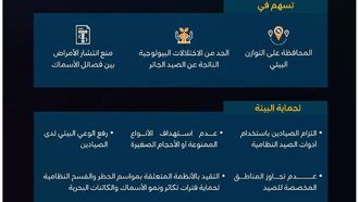 أسماك القرش ضرورية للتوازن البيئي