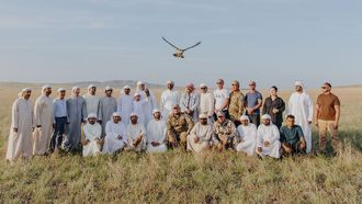 2,355 Falcons Returned To Wild In Kazakhstan