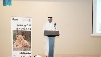 ورشة عمل حول رصد انتهاكات الحياة البرية