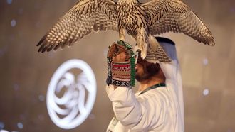 فعالية أبو ظبي الفريدة للصيد والفروسية