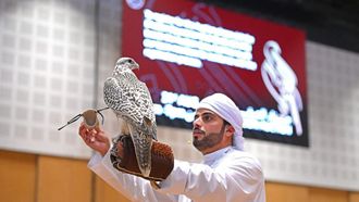 ADIHEX Falcon Auction Now Eight Days Long