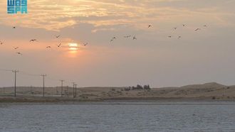 Al-Awshaziyah~~s Natural Salt Lakes: A Tourist Hub