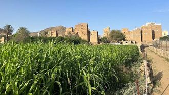 اكتشف جمال مزارع عسير