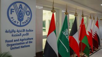 FAO Marks Emirati Women’s Day 2024