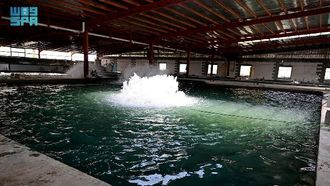 مزارع الأسماك بالمنطقة الشرقية تُزوّد 44 ألف طن