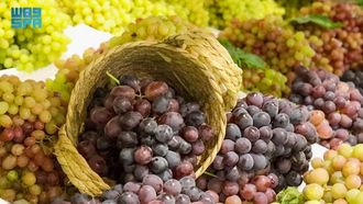 Boosting Local Economy Through Grape Farming