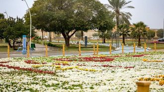 Enhancing Urban Sustainability In Qassim