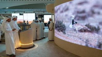 الحفاظ على الحبارى في معرض أبوظبي الدولي للصيد والفروسية 2025