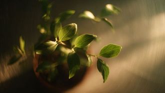 New Molecule Advances Artificial Photosynthesis Efforts