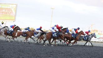 كأس الرئيس للخيول العربية في قازان