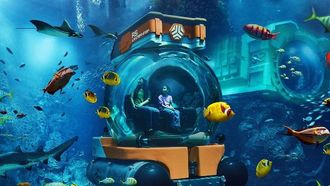 استكشاف التعليم البحري في سي وورلد أبوظبي