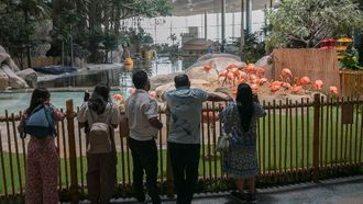 SeaWorld Abu Dhabi Enhances Marine Education