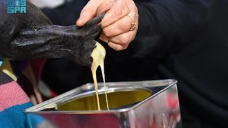 صناعة الألبان التقليدية في الحدود الشمالية