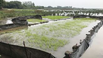 قد تختفي 20% من الأراضي الرطبة بحلول عام 2050