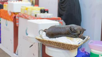 Wild Ghee: A Taste Of Tradition