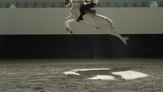 افتتاح مدرسة جديدة للفروسية في أبوظبي في نوفمبر