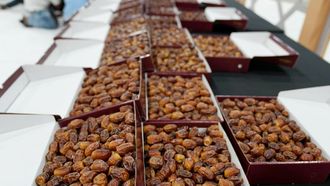 Al Dhafra Dates Festival Starts On 17 October