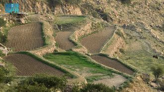 Equinox Marks Change In Aseer Agriculture