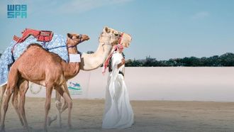 مزاد الإبل في معرض الصقارة 2025